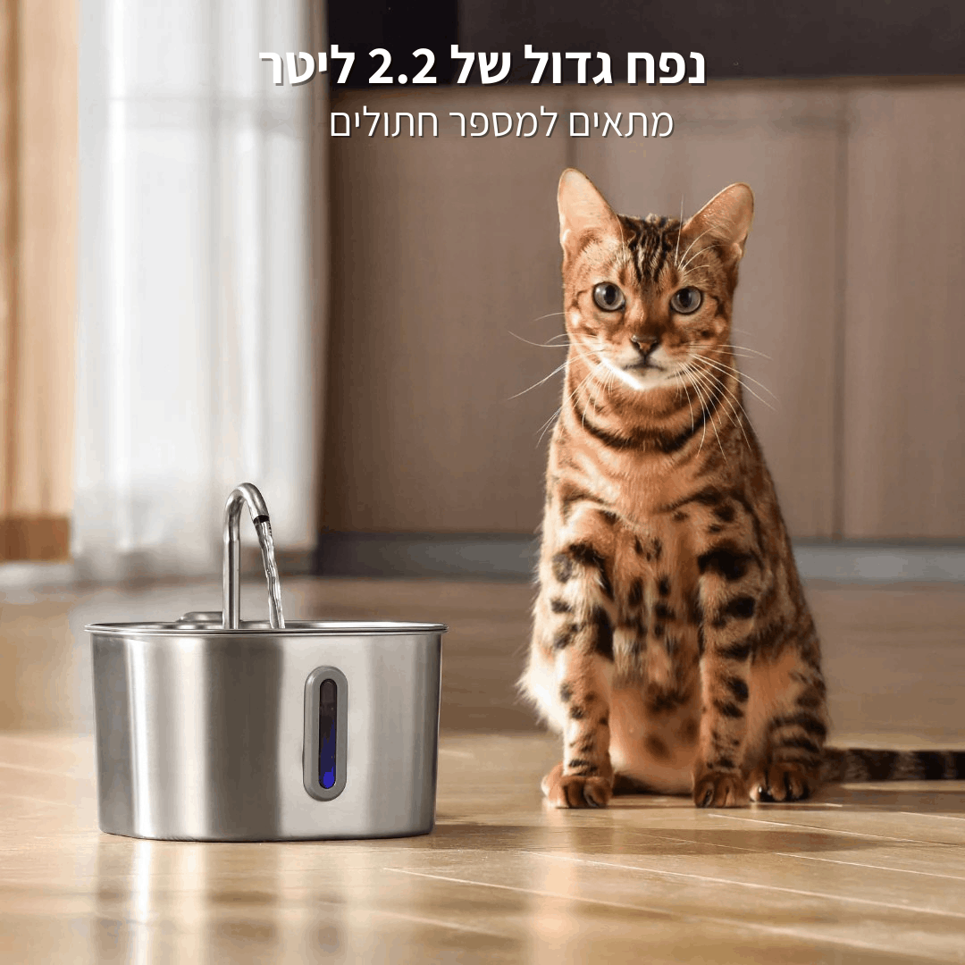 מזרקת מים זורמים - ™CatFlow